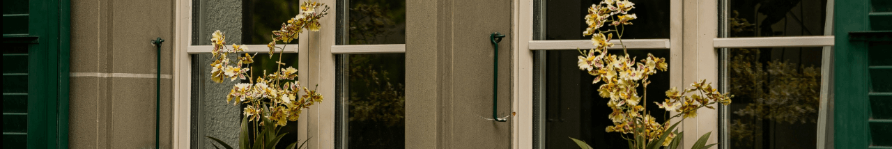 photo transac footer